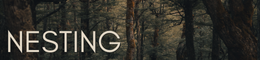 LD NESTINGS (7).png