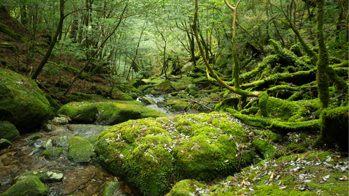 d1e3c975 2806 48eb 8c68 b690f94971dd.png