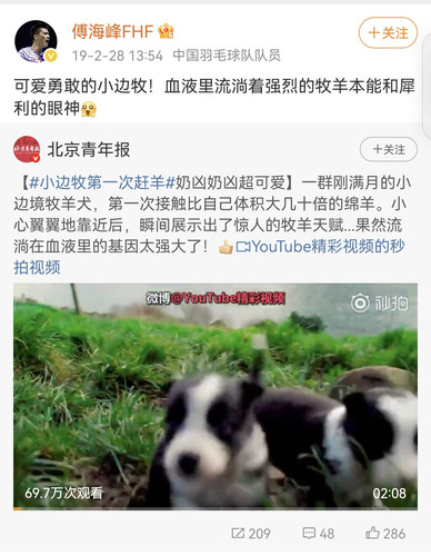 Screenshot 20250319 110148 com.sina.weibo edit 394430915546584.jpg
