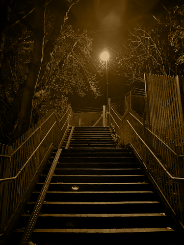 IMG 7284.png