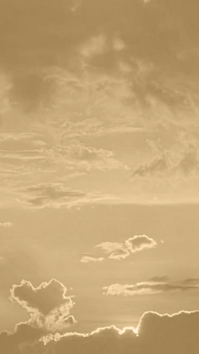 IMG 7286.png