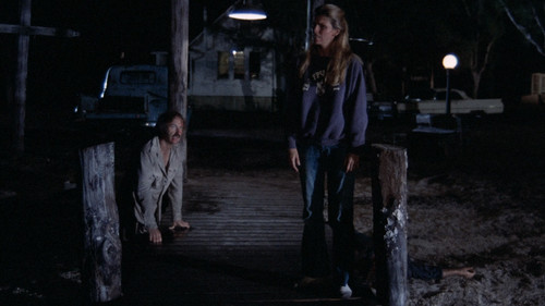 Night.Moves.1975.1080p.BluRay.CZ EN.x264 AMIABLE.mkv snapshot 01.27.34 [2025.03.19 20.00.55].jpg