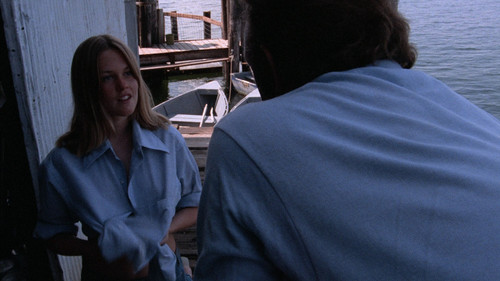 Night.Moves.1975.1080p.BluRay.CZ EN.x264 AMIABLE.mkv snapshot 00.41.33 [2025.03.19 20.00.30].jpg