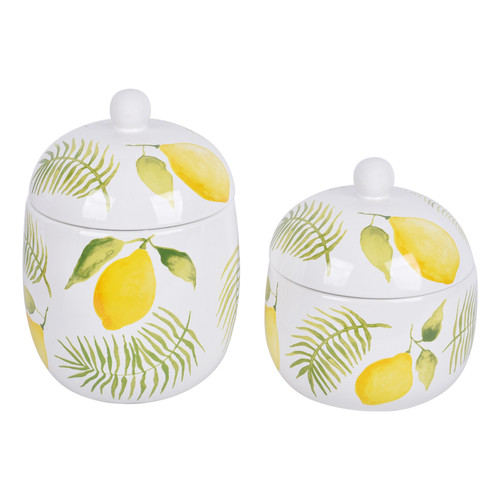 T49803 lemons.jpg