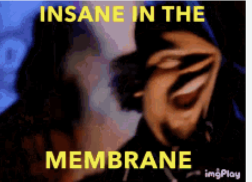 Insane in the membrane Screenshot 2025 03 20 at 11.39.39.png