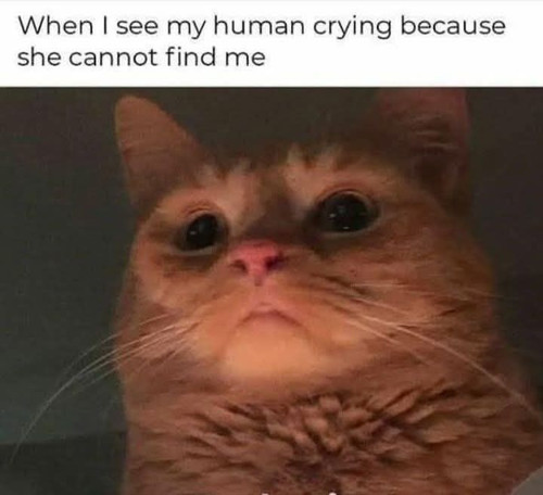 482019479 9399811340086454 4828916885353256487 n.jpg