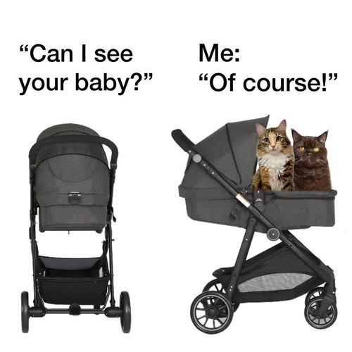 482016585 9400006903400231 5745814125037832795 n.jpg