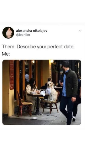 482030222 682891830978964 4200826568672070653 n.jpg