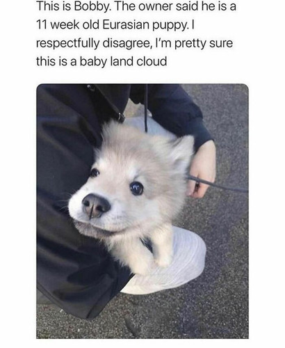 C4o FeRyfKj png 700.jpg