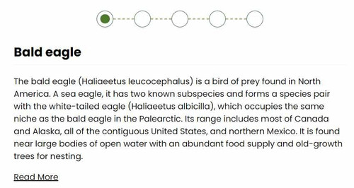 إنشاء مكون تبويب باستخدام JavaScript.jpg
