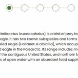 إنشاء مكون تبويب باستخدام JavaScript