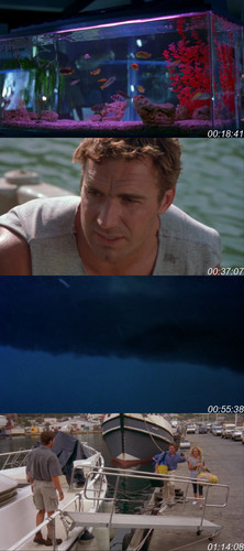 Shark Attack 2 (2000) Hindi ORG Dual Audio 1080p BluRay.jpg