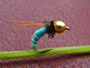 OLYMPUS DIGITAL CAMERA.jpg