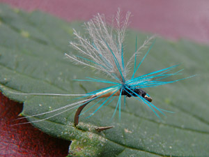 OLYMPUS DIGITAL CAMERA.jpg