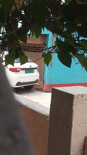 photo 2025 03 20 06 45 58 7483779328421920772.jpg