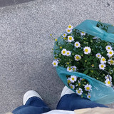 Snapinsta.app 405495605 368703459026780 8468833392868482074 n 1080