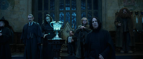 Harry.Potter.and.the.Goblet.of.Fire.2005.1080p.BluRay.DD5.1.x264 NTb 021.jpg