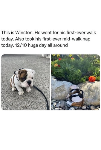 484339136 690935836841230 6930927634018339519 n.jpg