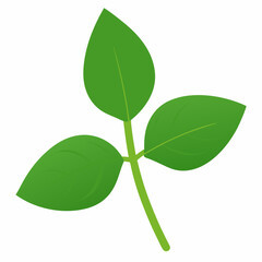 240 F 1024922975 XcmufqJQ6Kl4XVlASc6h5fEe9XkX24AV.jpg