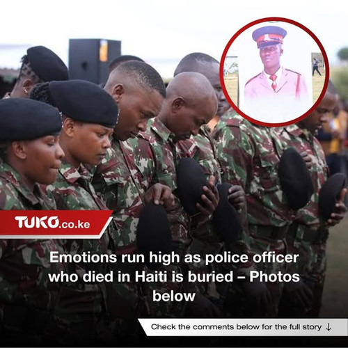 484931959 1074297694727876 5226795223814561523 n.jpg?stp=dst jpg s600x600 tt6& nc cat=103&ccb=1 7& n.jpg