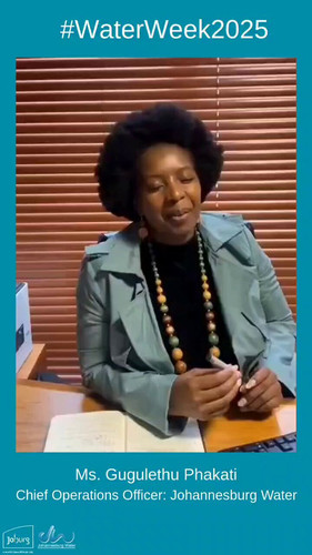 PmGo DlVap4XLQp2.jpg