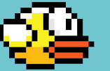 Bird.png