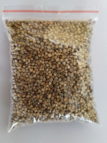 IMG 20250316 124132.jpg