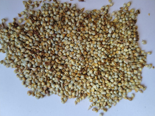 IMG 20250316 123720.jpg