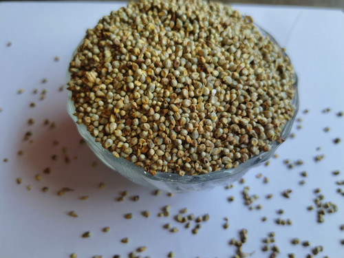 IMG 20250316 123603.jpg