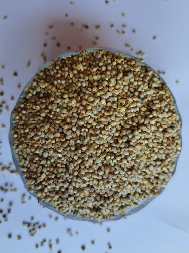 IMG 20250316 123534.jpg