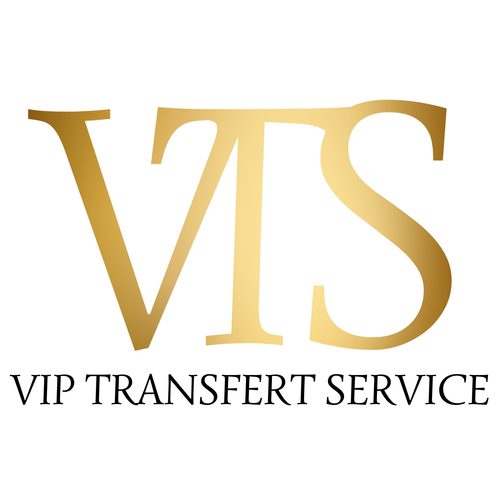 LOGO VTS VF.png