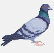 IMG 20250320 082117.jpg