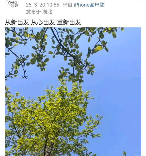 Screenshot 20250320 110810 edit 908632163044997.jpg