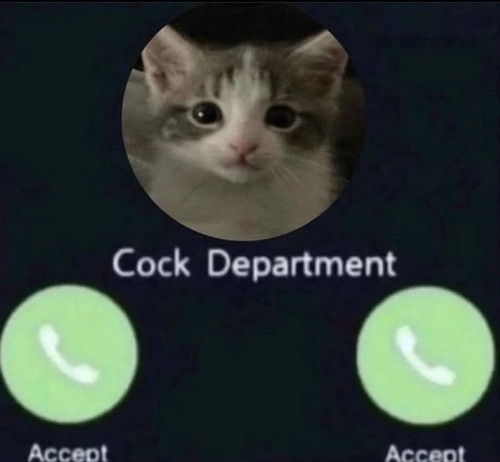 1427fd83 9efb 4b87 a83d aa88068305c4.jpg