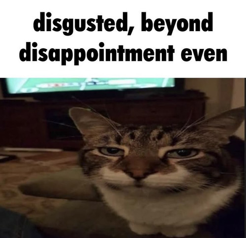 ece6fec1 00ca 43c8 a46e 6e0241b4716b.jpg