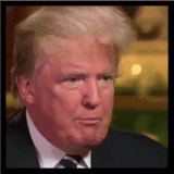 2mcO4gR.md.gif