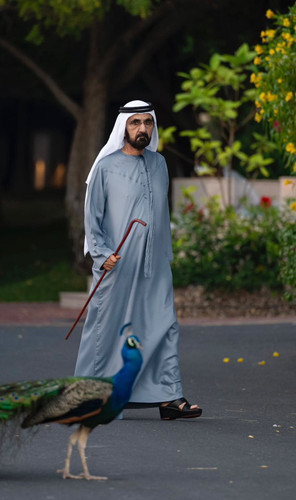 GmWlsAqa8AAESGS.jpg