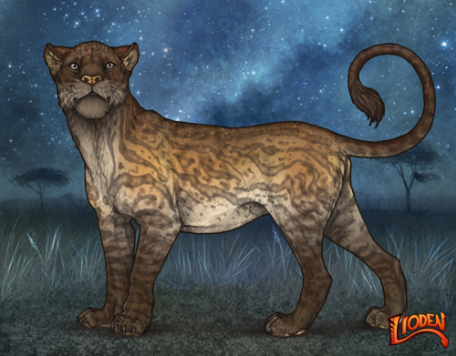 lioden wardrobe (6).png