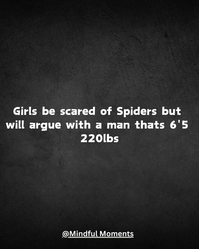 23.png