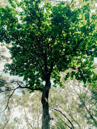 GmTcnBHW8AAP8f9.jpg