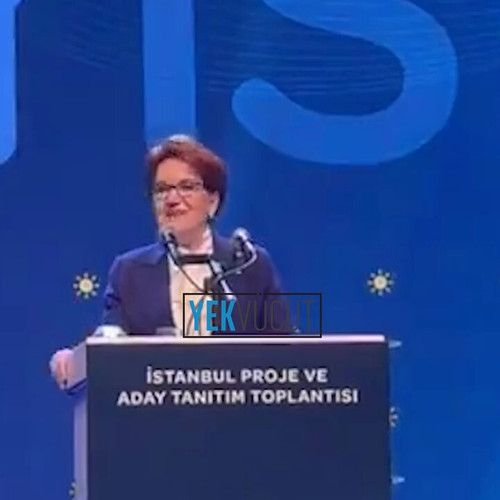 n4DE plLZB5283nx.jpg