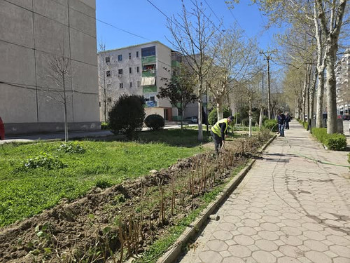 485002644 1177450130402226 301475733215851308 n.jpg?stp=dst jpg s600x600 tt6& nc cat=103&ccb=1 7& nc.jpg