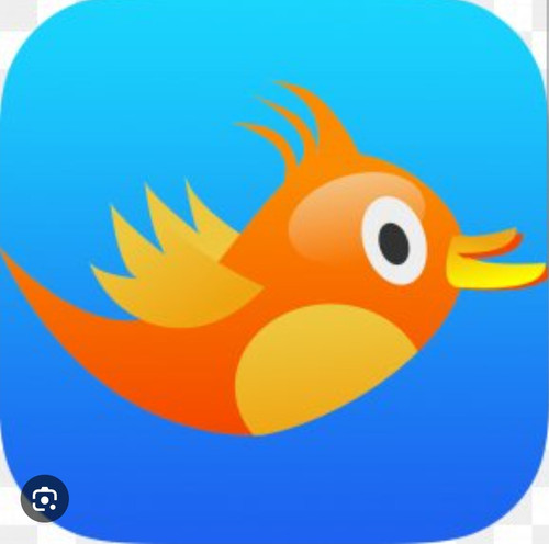 Screenshot 20250320 141133 Chrome.jpg