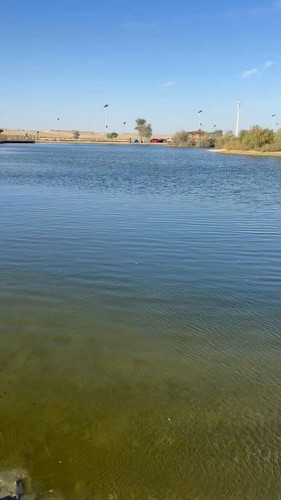 R UvDp8lbmPlZXCZ.jpg