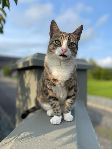 463120721 9433385216676965 4905621717468678063 n.jpg