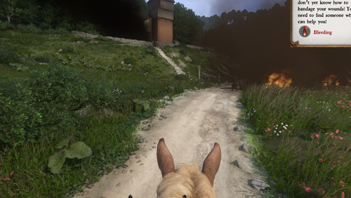 New Bitkép Copy (2)