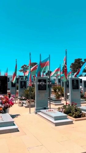 WX1 9 2QB70vaS6N.jpg