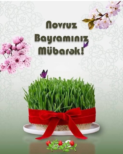 485885678 1215735043890534 224048775991262741 n.jpg?stp=dst jpg s640x640 tt6& nc cat=101&ccb=1 7& nc.jpg