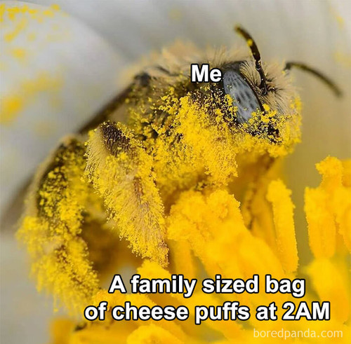 funny zesty supreme memes 11 671f8c1b555e0 700.jpg