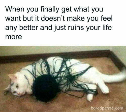 45348 671f48b98fedc 700.jpg